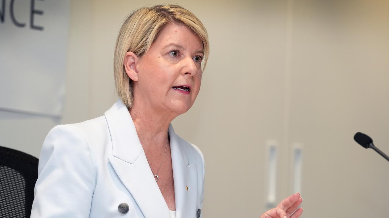 Natasha Stott Despoja has heard officers attend 100 DV call outs a day. Picture: Dean Martin