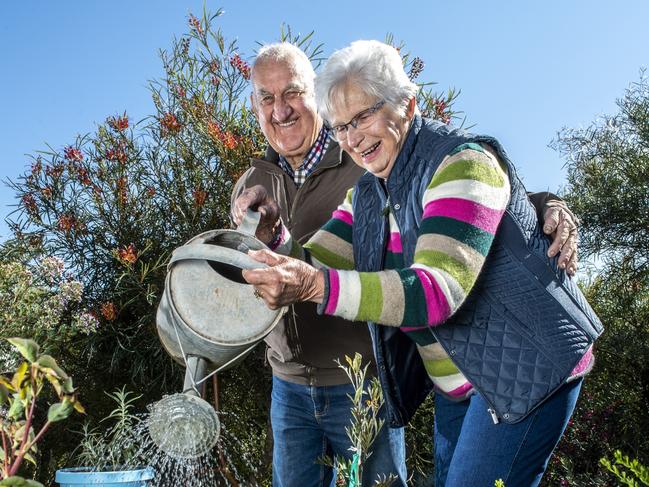 ‘Incredible’: Couple’s enchanting three level garden in full bloom