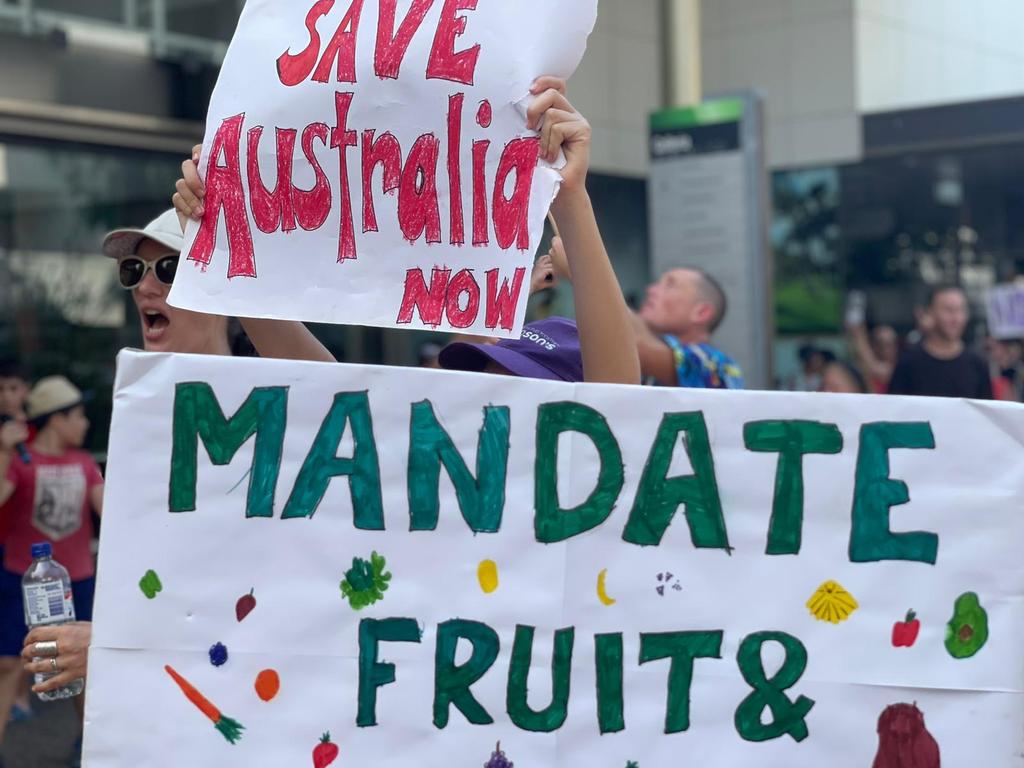 Protesters at the freedom rally in Darwin CBD on October 30, 2021. Picture: Amanda Parkinson