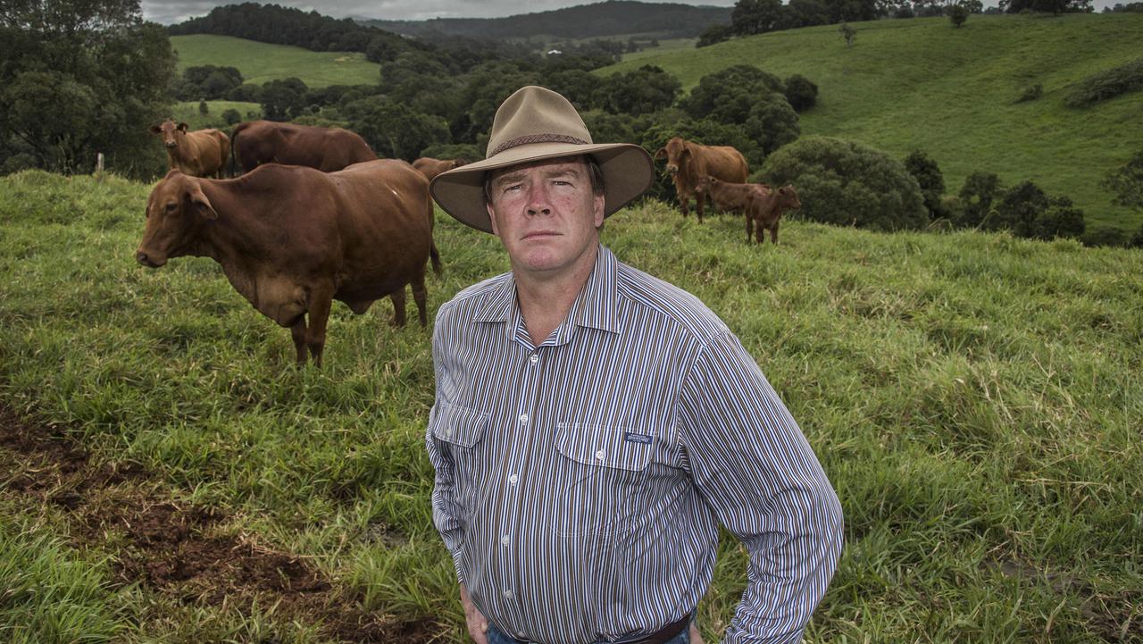 Land clearing laws: ‘Farmers are the best stewards of their land’ | The ...