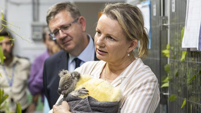 Environment Minister Sussan Ley craddles a rescued koala. Picture: AAP