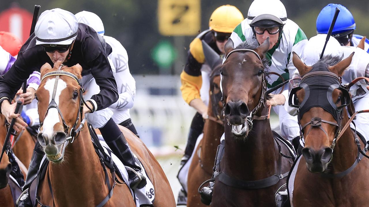 Adios Steve (left) stablemate Mahagoni in the Four Pillars. Picture: Getty Images