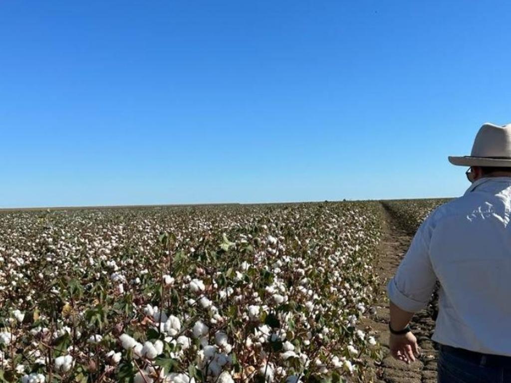 Located in some of Australia's hottest and most oppressive conditions Lucas Findley from Etta Plains has found a way to grow irrigated and dryland cotton. Photo: Instagram/Deb Frecklington.