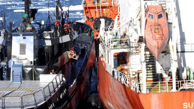 Sea Shepherd's the Bob Barker, left, and the fuel tanker Sun Laurel, right, of Japanese whaling vessel Nisshin Maru, collide in waters near Antarctica. Picture: The Institute of Cetacean Research/AP