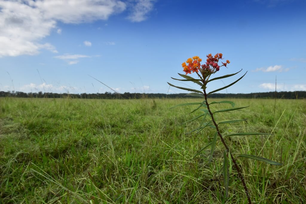 Launch of Harmony Estate at Palmview.Construction is about to begin. Picture: Warren Lynam