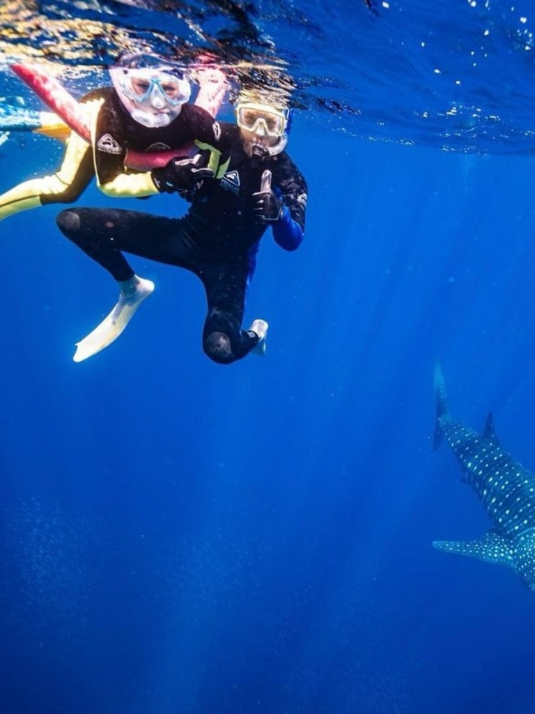They swam with whale sharks on Ningaloo Reef. Picture: Hamish Blake / Instagram