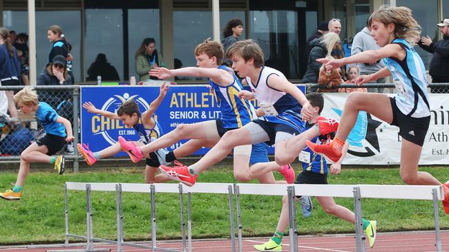 Leaping over the hurdles. Picture: Alan Barber