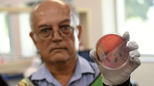 Townsville Hospital and Health Service director of microbiology and pathology Dr Robert Norton said there's been an increase in melioidosis cases this wet season. Picture: Supplied