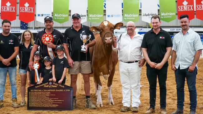 Lightning Ridge Cmd Dback Barbara, Instyle And Rusty Red, from Simpson, won Australia's Supreme Champion. Picture: Rachel Simmonds