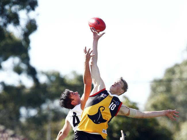 TAC Cup: Dandenong Stingrays v Northern Knights Pictured is Northern Knights #4 charles roberts and Dandenong Stingrays # 18 Mitchell McCarthy Picture: Paul Loughnan