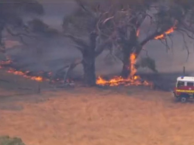 Fire crews attend to fires burning around the Beauford area Picture: 7 News