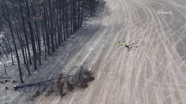 SA Power Networks drones on Kangaroos Island after bushfire