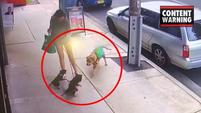 Shocking CCTV captures brutal dog attack in street