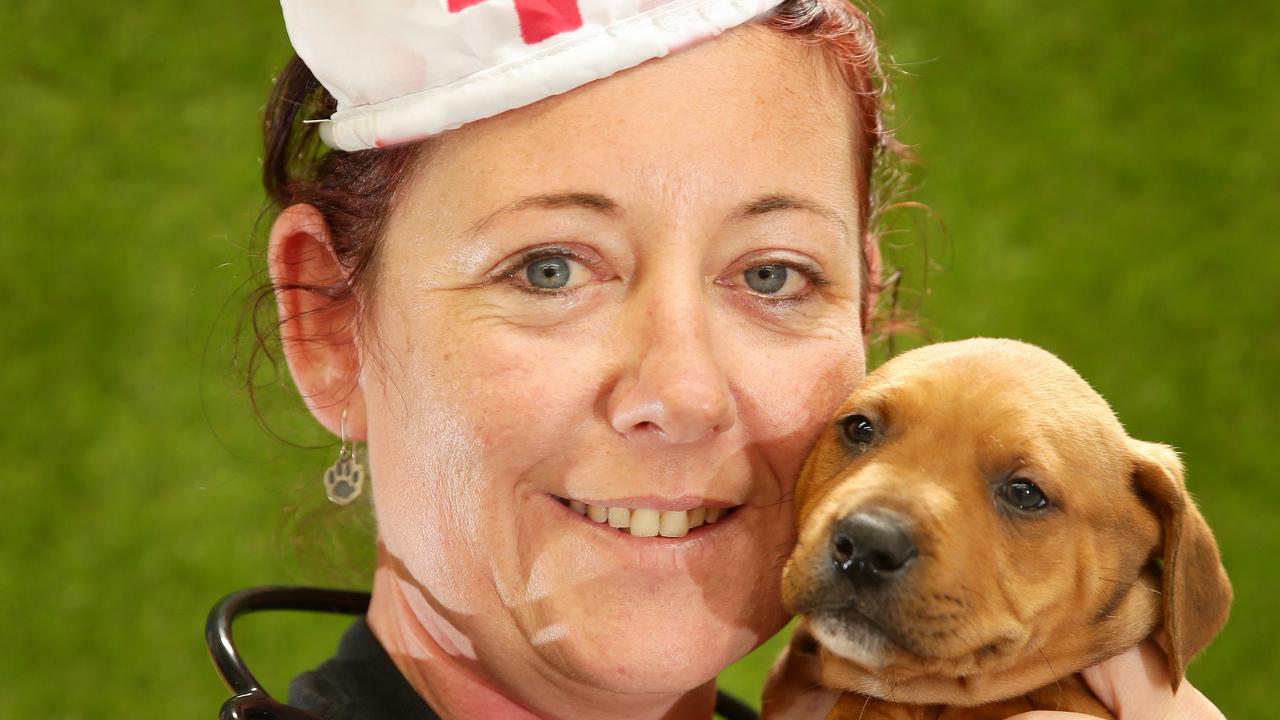 Blue Moon Pet Services has been listed for sale by the owner as a result of the company owing tens of thousands of dollars in superannuation to its employees. Picture: Alison Wynd