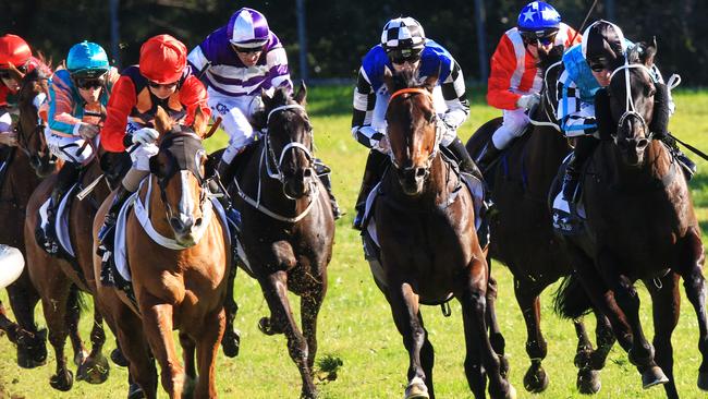 Racing in New South Wales on Wednesday is at Canterbury.