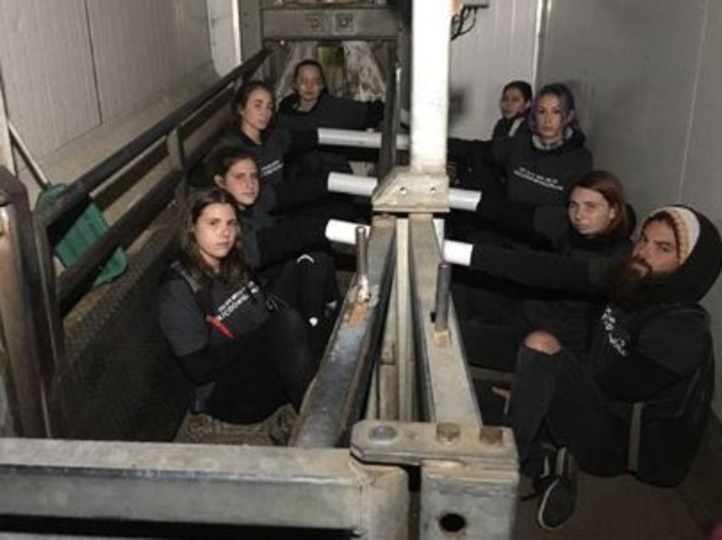 Activists chained themselves to the railings as Alix Livingstone roamed the piggery filming the arrival by police and their arrest.