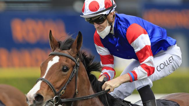 Jason Collett has a solid book of rides at Kembla. Picture: Getty Images