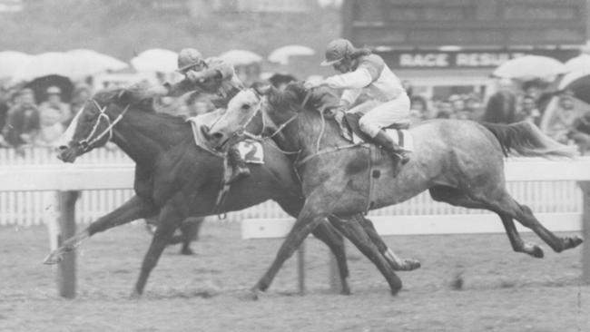 THE Syd Brown-trained Triton holds off Gunsynd to win the 1972 Epsom Handicap at Randwick.