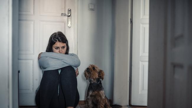 Dogs can experience trauma in ways their owners might not immediately recognise. Picture: istock