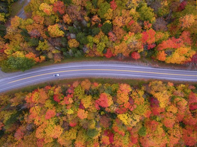 Photo and caption by Manish Mamtani / National Geographic Travel Photographer of the Year Contest A drive to remember. Aerial view of the Scenic drive and the beautiful Fall colors of New Hampshire. I used a drone to capture the fall colors that cannot be seen from the road.