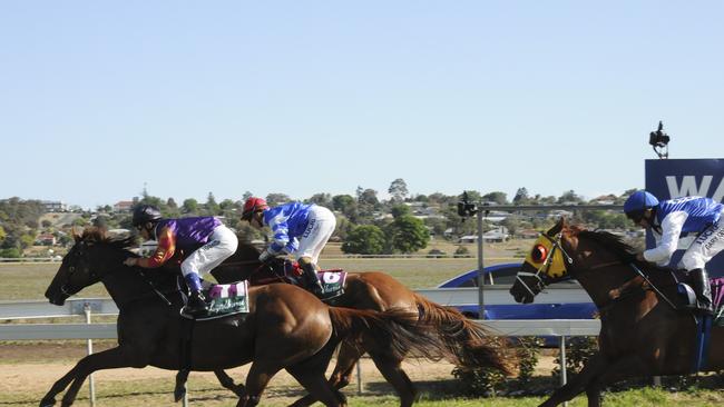 TRACKSIDE: Allman Park will light up on Saturday, October 10 for the annual Warwick Credit Union Cup Day. Picture: contributed