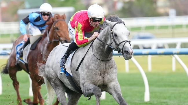 John Allen guides Kingswood to victory in the Coongy Cup at Caulfield on Wednesday. Picture: Scott Barbour/Racing Photos via Getty Images