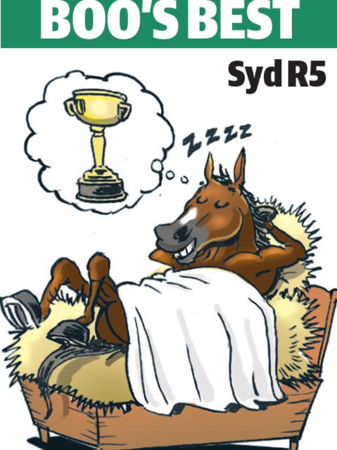 Boo Bailey's cartoon tip for Rosehill