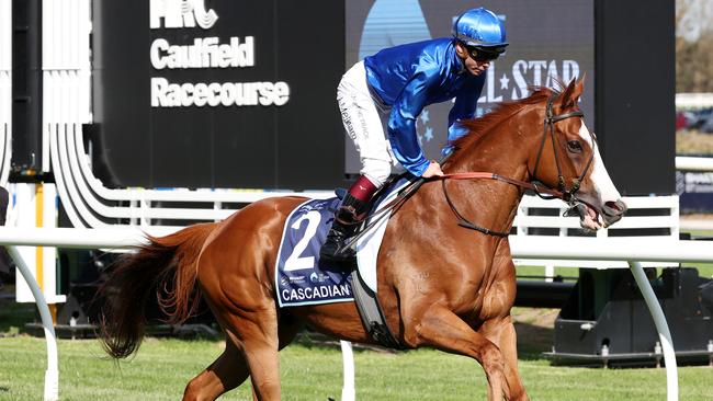 Cascadian (GB) on the way to the barriers prior to the running of The Sharp EIT All-Star Mile at Caulfield Racecourse on March 16, 2024 in Caulfield, Australia. (Photo by George Sal/Racing Photos via Getty Images)