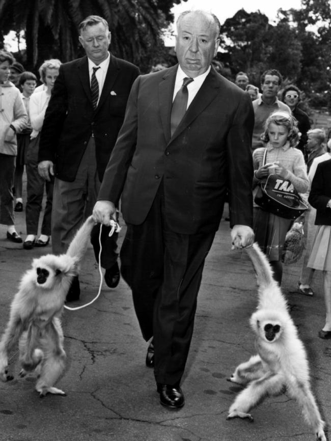 Hitchcock walking with two monkeys while visiting Taronga in 1960.