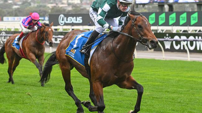 Classy sprinter Growing Empire will stand at Yulong Stud at Nagamabie in 2025. Picture: Getty Images