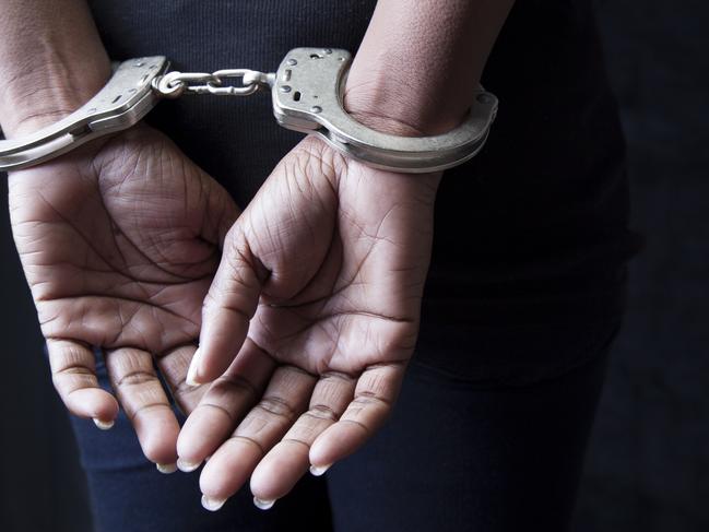 Shepherd spat in a police officers face after she was arrested as she was being put into the divisional van. Picture: Generic