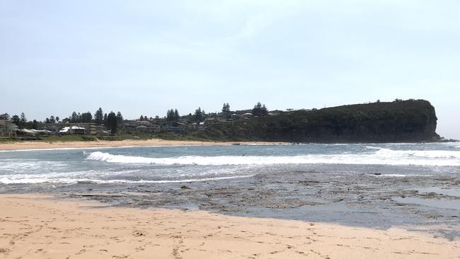 Amir Etemadi was last seen at Mona Vale Beach at 11am on Tuesday. Picture: Manly Daily