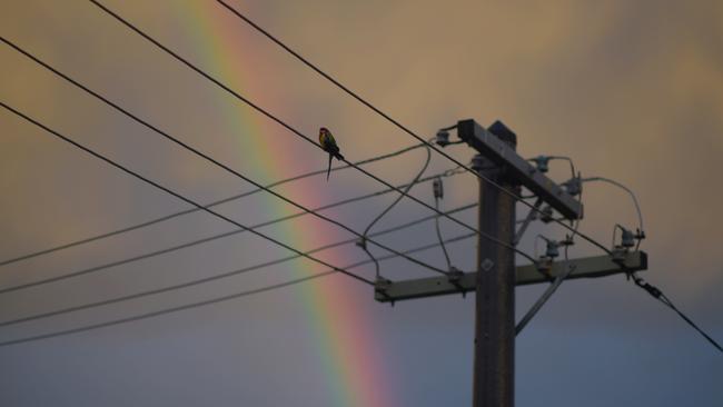 Warwick McKibbin says the cost of financing the billions of dollars in electricity transmission needed to bring more renewables into the grid and to balance the system is now far higher. Picture: AAP