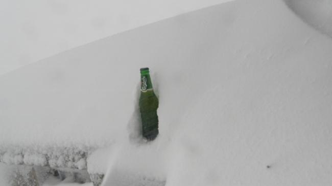 The same beer bottle this morning.