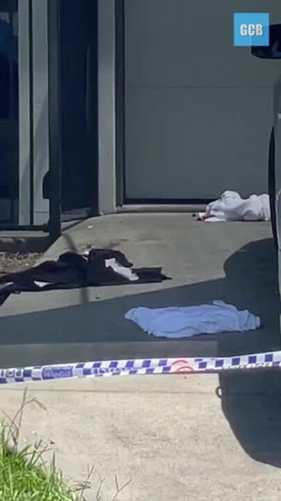 Gold Coast shooting investigation