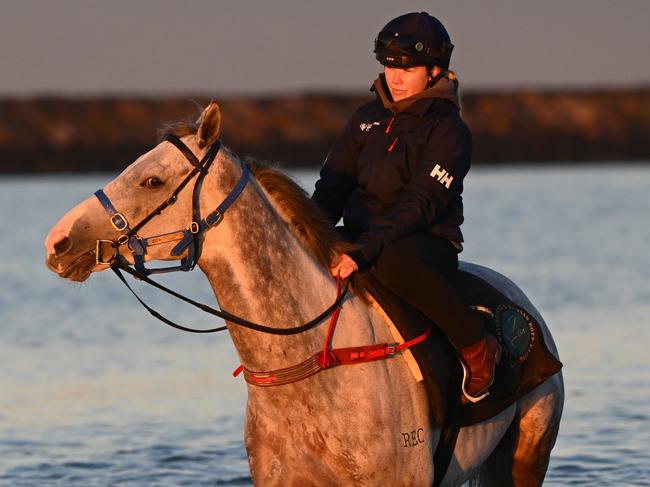 MELBOURNE, AUSTRALIA - MAY 11: Gai Waterhouse & Adrian Bott trained horses including White Marlin ridden by Tyla Becker are seen during a beach session at Altona Beach on May 11, 2023 in Melbourne, Australia. White Marlin is favourite for the Lexus Andrew Ramsden (2800m) on Saturday, which offers the winner a guaranteed place in The 2023 Melbourne Cup. (Photo by Vince Caligiuri/Getty Images)