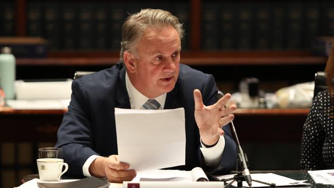 Chair of the Upper House Inquiry into Education Mark Latham. Picture: Richard Dobson