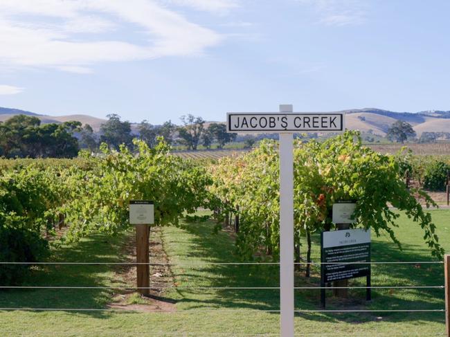 Jacob's Creek vineyard. Picture: Supplied