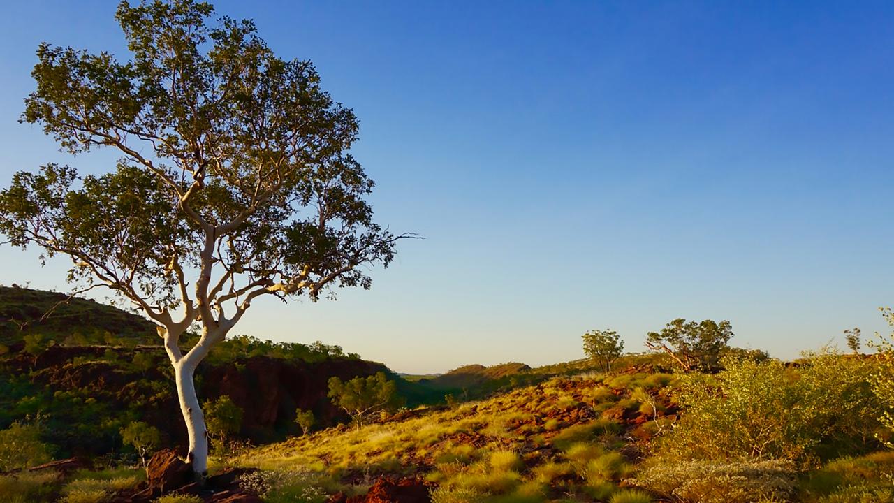 Outback in Focus photography competition finalist. Boodjamulla National Park/Lawn Hill National Park, in north west Queensland, photographed by Will Parker.