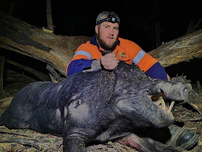 Sam Floss of Cane Pig Queensland with the largest boar he caught and working to trap a number of pigs from a Bundaberg property.