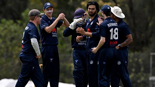 Elsternwick players celebrate a wicket during the VDSCA Elsternwick v Strathmore cricket match in Strathmore, on November 12. Picture: Andy Brownbill