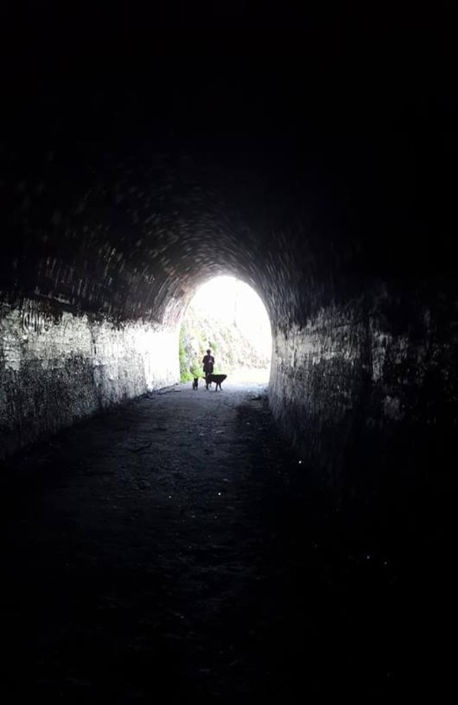 A look at Ernest Junction Tunnel. Picture: Ernest Junction Tunnel Friends