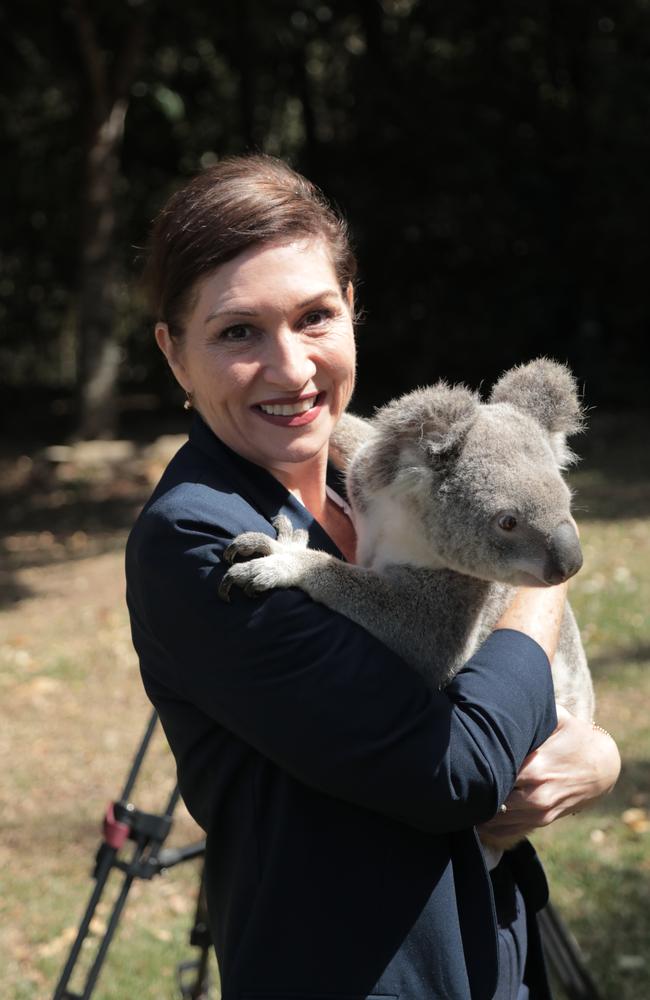 Minister for Environment Leeanne Enoch. Picture: Mark Cranitch