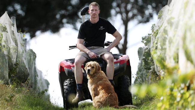 Dylan Grimes operates Mount Macedon Winery with his wife Elisha. Picture: Michael Klein