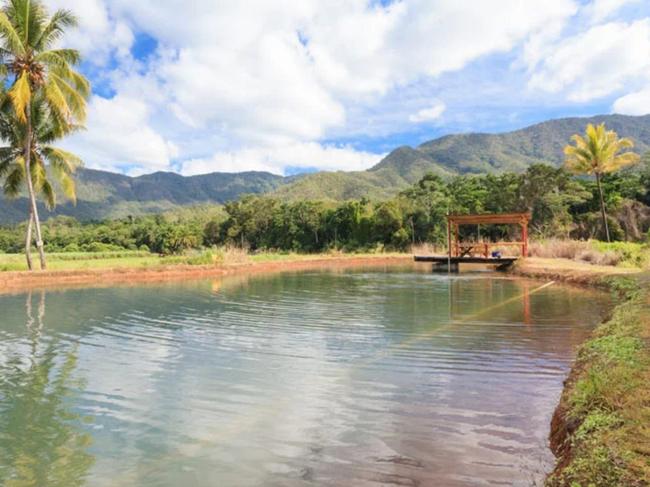 The fish pond at the Catch A Barra property.