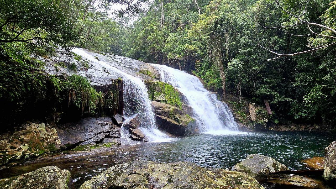 Another water hole Sean Dromey has come across during his wanderings around Mount Bellenden Ker.