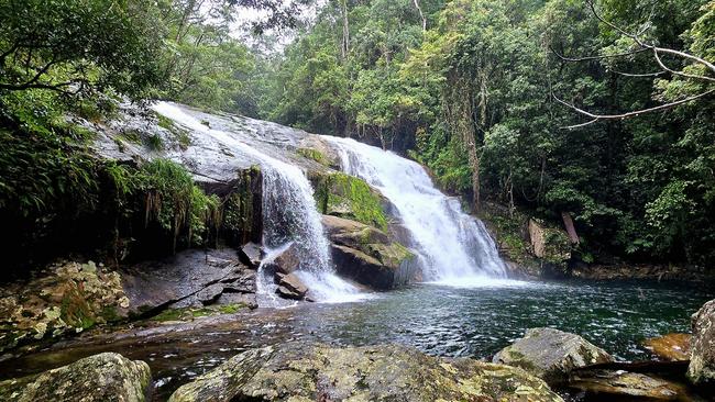 Another water hole Sean Dromey has come across during his wanderings around Mount Bellenden Ker.