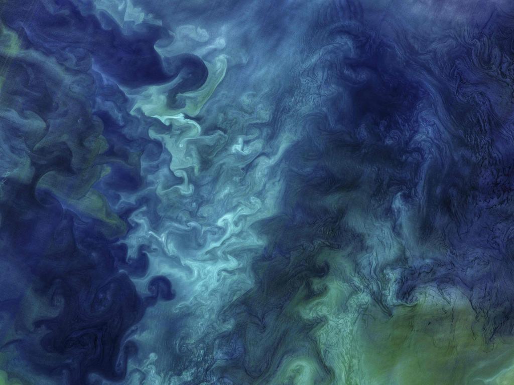 This NASA satellite image obtained July 18, 2018 shows the waters off of the Alaskan coast with blooms of phytoplankton, forming patterns of blue and green seawater, such as those visible in this image of the Chukchi Sea acquired on June 18, 2018, by the Operational Land Imager (OLI) on Landsat 8. Two main water masses flow from the Bering Strait and enter the southern Chukchi. One type, known as “Bering Sea Water,” is cool, salty, and rich in nutrients. This water fuels most of the phytoplankton growth, primarily diatoms, which are likely the main reason for the colorful green waters pictured here. (Sediments could also be contributing to the bright green areas.) The second mass of seawater is known as “Alaskan Coastal Water,” which is warmer, less salty, and nutrient-poor. Diatom growth is usually lower in these waters, but coccolithophores can do well here. Some areas pictured here could contain this type of plankton, known to impart a milky turquoise hue to the water with their plates of calcium carbonate armor. / AFP PHOTO / NASA