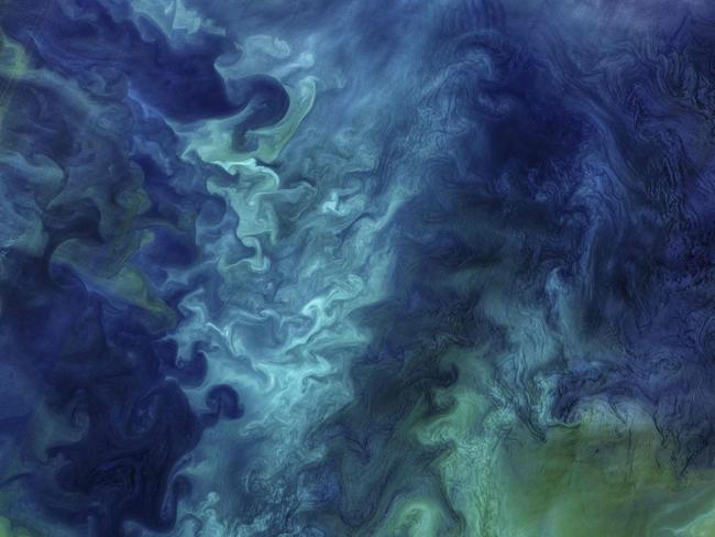 This NASA satellite image obtained July 18, 2018 shows the waters off of the Alaskan coast with blooms of phytoplankton, forming patterns of blue and green seawater, such as those visible in this image of the Chukchi Sea acquired on June 18, 2018, by the Operational Land Imager (OLI) on Landsat 8. Two main water masses flow from the Bering Strait and enter the southern Chukchi. One type, known as “Bering Sea Water,” is cool, salty, and rich in nutrients. This water fuels most of the phytoplankton growth, primarily diatoms, which are likely the main reason for the colorful green waters pictured here. (Sediments could also be contributing to the bright green areas.) The second mass of seawater is known as “Alaskan Coastal Water,” which is warmer, less salty, and nutrient-poor. Diatom growth is usually lower in these waters, but coccolithophores can do well here. Some areas pictured here could contain this type of plankton, known to impart a milky turquoise hue to the water with their plates of calcium carbonate armor. / AFP PHOTO / NASA
