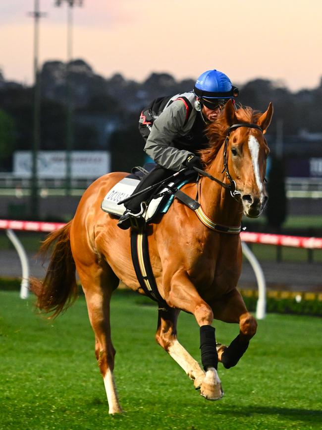 Craig Williams riding Giga Kick during track gallops at Moonee Valley Racecourse on September 5, 2023 in Melbourne, Australia. Picture: Vince Caligiuri/Getty Images